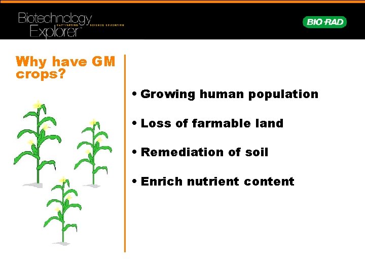 Why have GM crops? • Growing human population • Loss of farmable land •