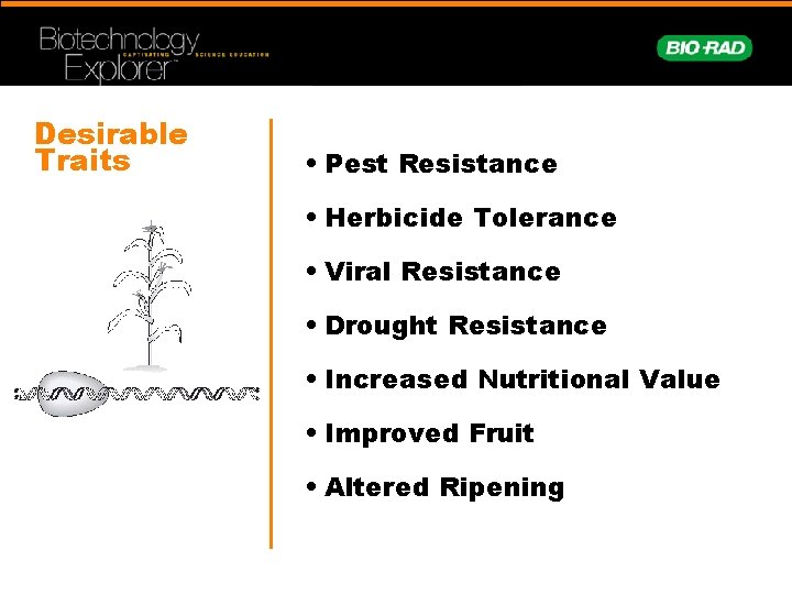 Desirable Traits • Pest Resistance • Herbicide Tolerance • Viral Resistance • Drought Resistance