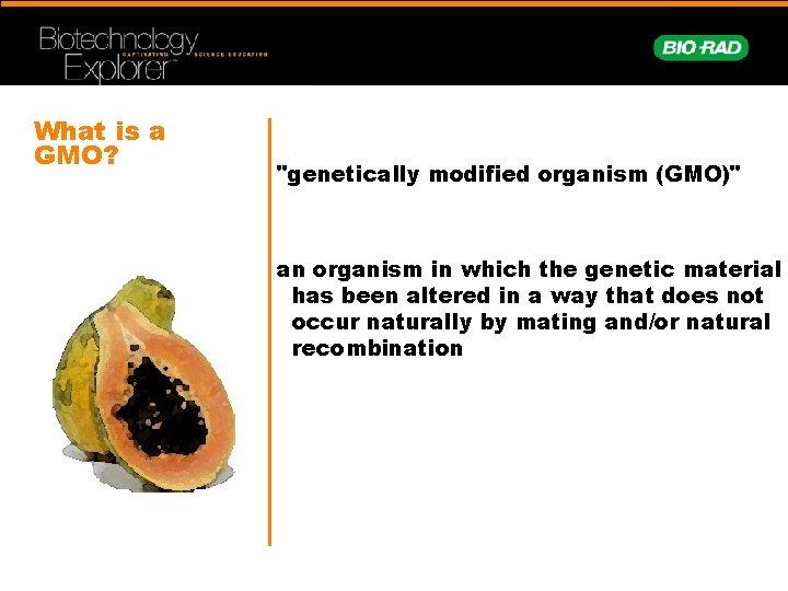 What is a GMO? "genetically modified organism (GMO)" an organism in which the genetic