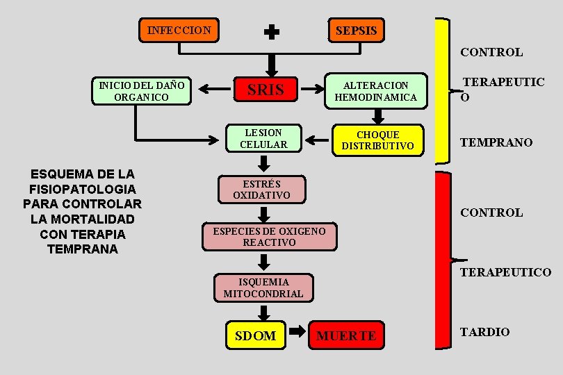 SEPSIS INFECCION CONTROL INICIO DEL DAÑO ORGANICO ESQUEMA DE LA FISIOPATOLOGIA PARA CONTROLAR LA