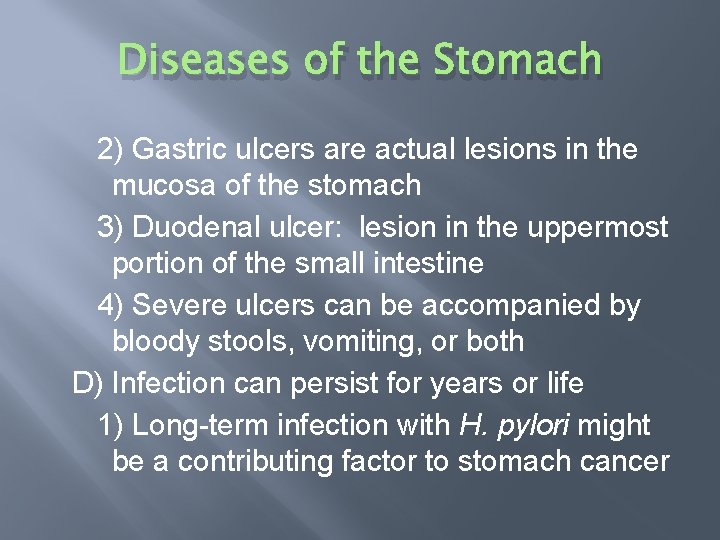 Diseases of the Stomach 2) Gastric ulcers are actual lesions in the mucosa of