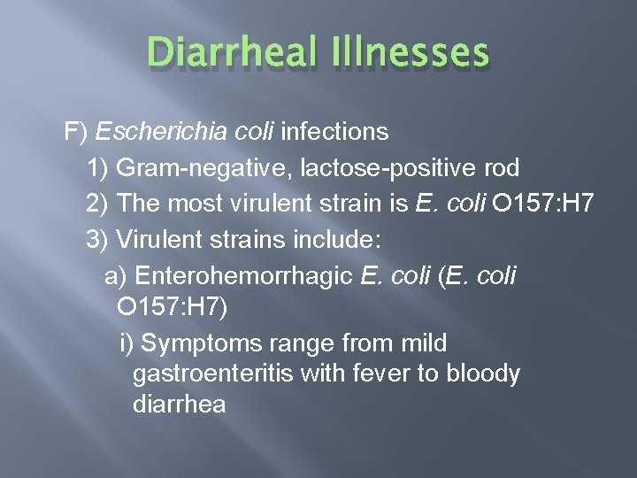 Diarrheal Illnesses F) Escherichia coli infections 1) Gram-negative, lactose-positive rod 2) The most virulent