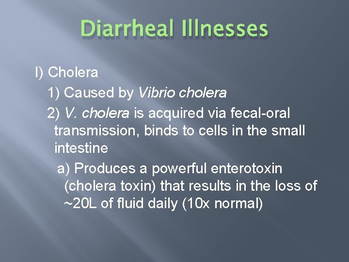 Diarrheal Illnesses I) Cholera 1) Caused by Vibrio cholera 2) V. cholera is acquired