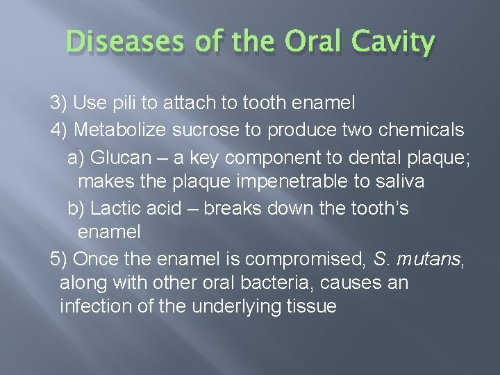 Diseases of the Oral Cavity 3) Use pili to attach to tooth enamel 4)