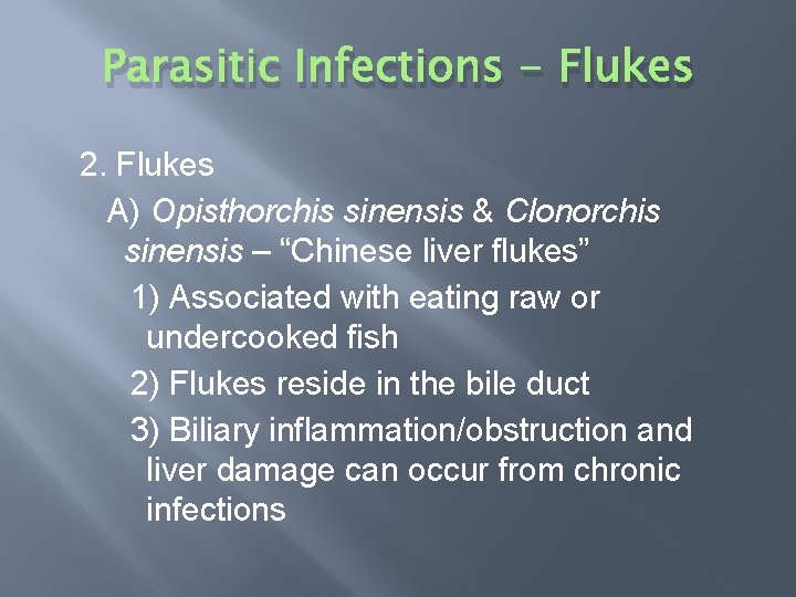 Parasitic Infections - Flukes 2. Flukes A) Opisthorchis sinensis & Clonorchis sinensis – “Chinese