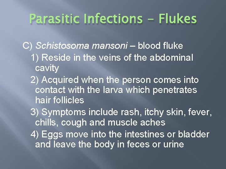 Parasitic Infections - Flukes C) Schistosoma mansoni – blood fluke 1) Reside in the