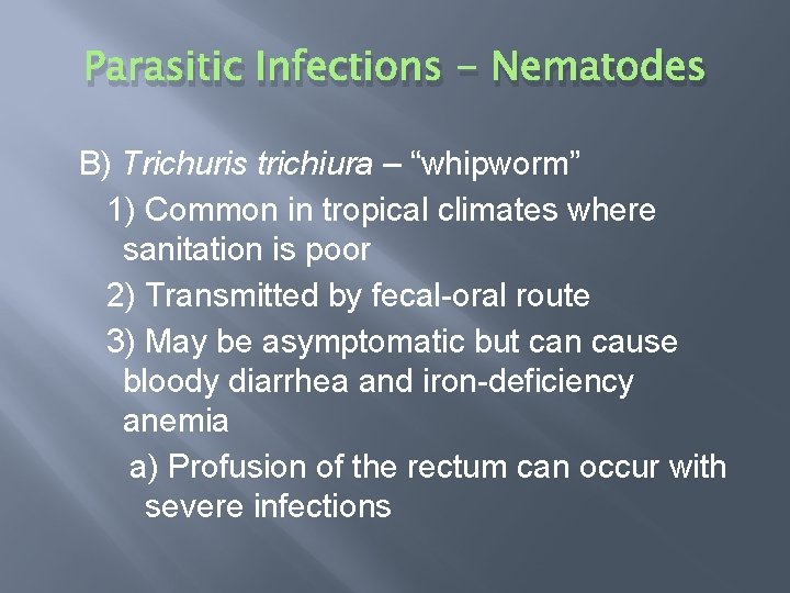 Parasitic Infections - Nematodes B) Trichuris trichiura – “whipworm” 1) Common in tropical climates