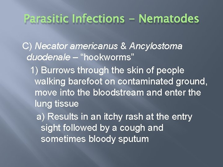Parasitic Infections - Nematodes C) Necator americanus & Ancylostoma duodenale – “hookworms” 1) Burrows