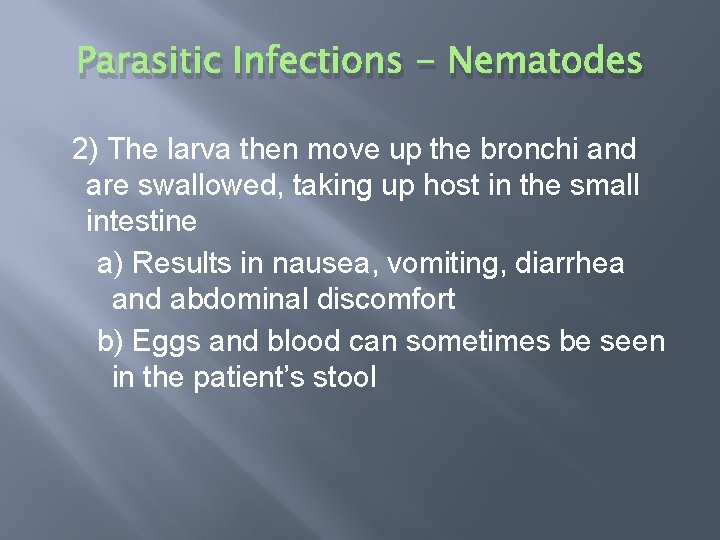 Parasitic Infections - Nematodes 2) The larva then move up the bronchi and are
