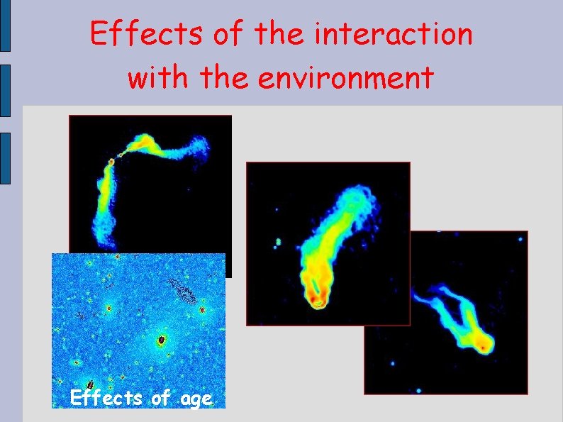 Effects of the interaction with the environment Effects of age 