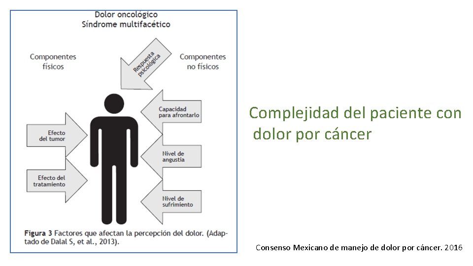 Complejidad del paciente con dolor por cáncer Consenso Mexicano de manejo de dolor por