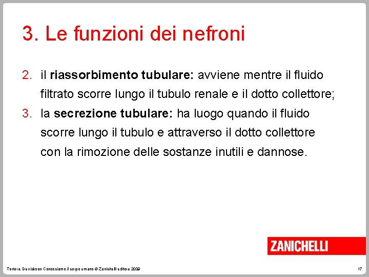 3. Le funzioni dei nefroni 2. il riassorbimento tubulare: avviene mentre il fluido filtrato