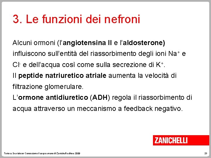 3. Le funzioni dei nefroni Alcuni ormoni (l’angiotensina II e l’aldosterone) influiscono sull’entità del