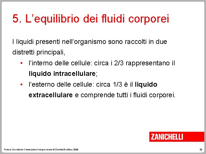 5. L’equilibrio dei fluidi corporei I liquidi presenti nell’organismo sono raccolti in due distretti