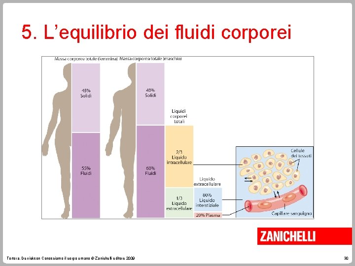 5. L’equilibrio dei fluidi corporei Tortora, Derrickson Conosciamo il corpo umano © Zanichelli editore