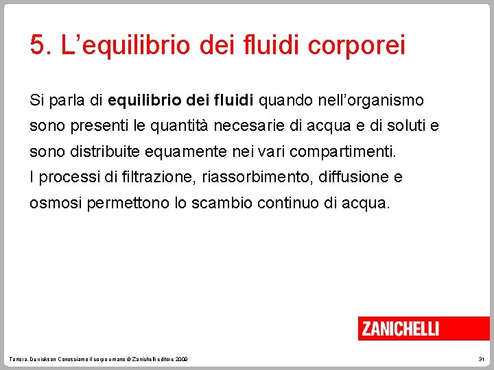 5. L’equilibrio dei fluidi corporei Si parla di equilibrio dei fluidi quando nell’organismo sono