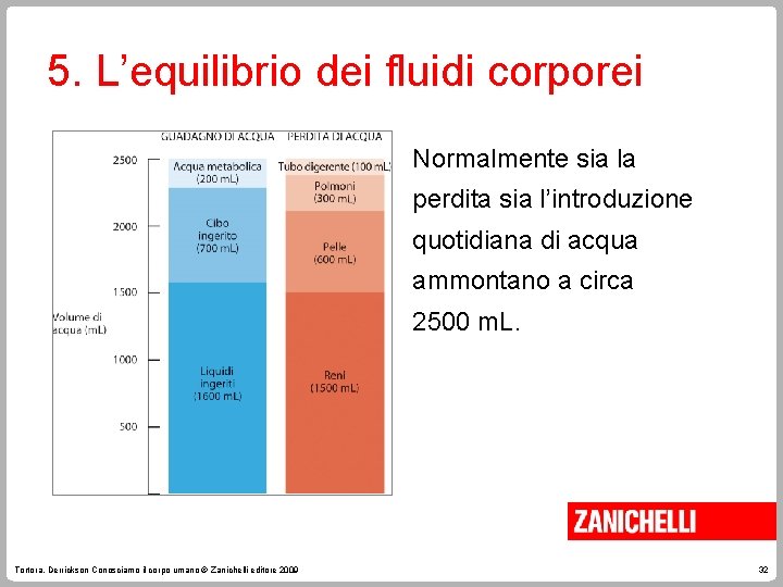 5. L’equilibrio dei fluidi corporei Normalmente sia la perdita sia l’introduzione quotidiana di acqua