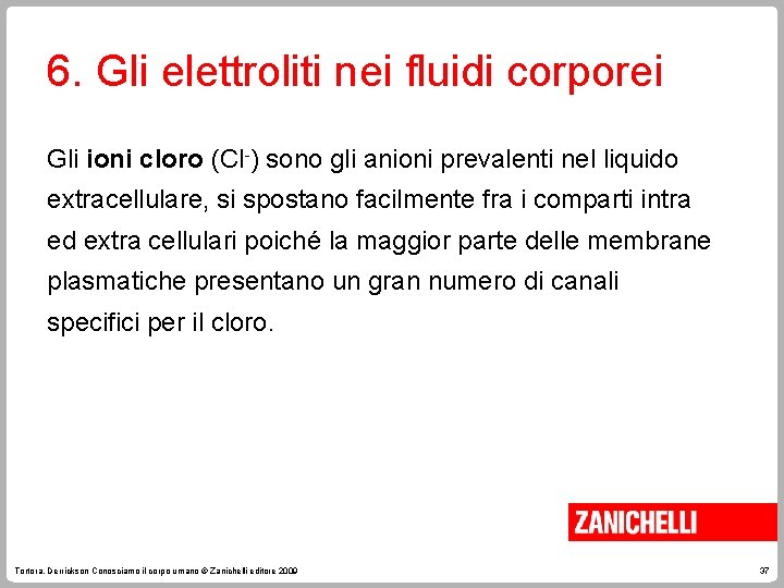 6. Gli elettroliti nei fluidi corporei Gli ioni cloro (Cl-) sono gli anioni prevalenti