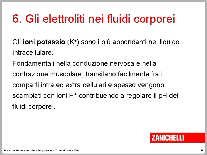 6. Gli elettroliti nei fluidi corporei Gli ioni potassio (K+) sono i più abbondanti