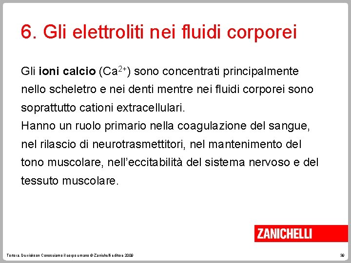 6. Gli elettroliti nei fluidi corporei Gli ioni calcio (Ca 2+) sono concentrati principalmente