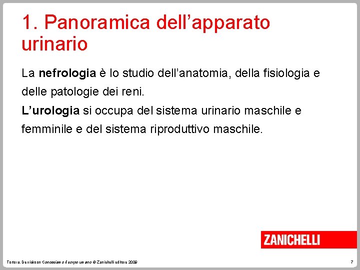 1. Panoramica dell’apparato urinario La nefrologia è lo studio dell’anatomia, della fisiologia e delle