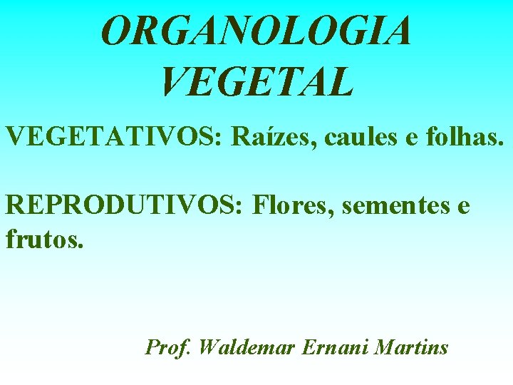 ORGANOLOGIA VEGETAL VEGETATIVOS: Raízes, caules e folhas. REPRODUTIVOS: Flores, sementes e frutos. Prof. Waldemar