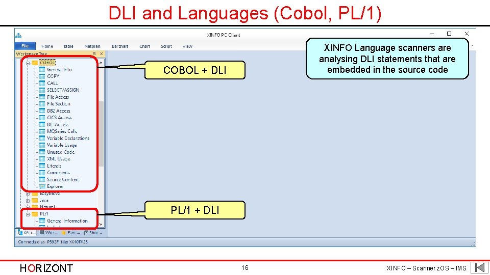 DLI and Languages (Cobol, PL/1) XINFO Language scanners are analysing DLI statements that are