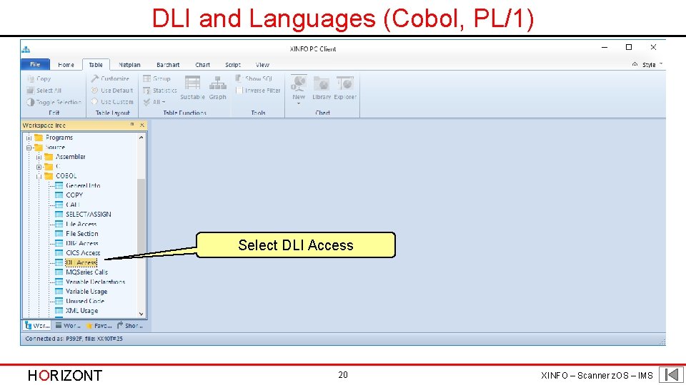 DLI and Languages (Cobol, PL/1) Select DLI Access HORIZONT 20 XINFO – Scanner z.