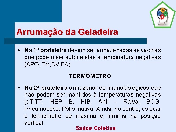 Arrumação da Geladeira • Na 1ª prateleira devem ser armazenadas as vacinas que podem