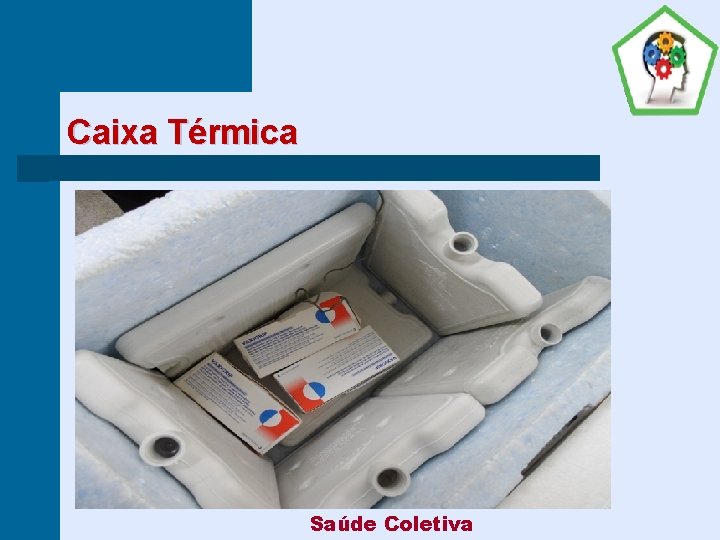 Caixa Térmica Saúde Coletiva 