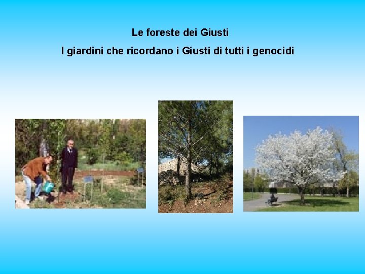 Le foreste dei Giusti I giardini che ricordano i Giusti di tutti i genocidi