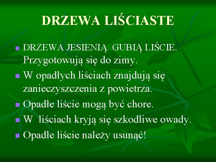 DRZEWA LIŚCIASTE n DRZEWA JESIENIĄ GUBIĄ LIŚCIE. Przygotowują się do zimy. n W opadłych