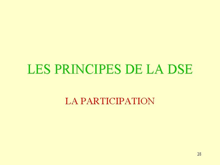 LES PRINCIPES DE LA DSE LA PARTICIPATION 28 