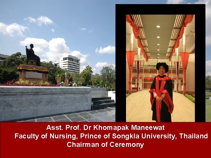 Asst. Prof. Dr Khomapak Maneewat Faculty of Nursing, Prince of Songkla University, Thailand Chairman