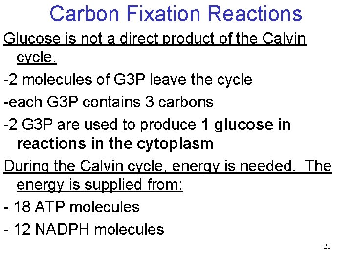 Carbon Fixation Reactions Glucose is not a direct product of the Calvin cycle. -2