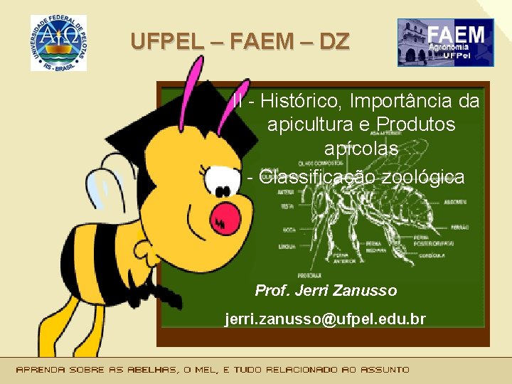 UFPEL – FAEM – DZ II - Histórico, Importância da apicultura e Produtos apícolas