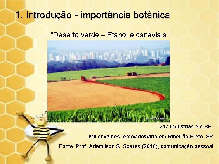 1. Introdução - importância botânica “Deserto verde – Etanol e canaviais 217 Industrias em