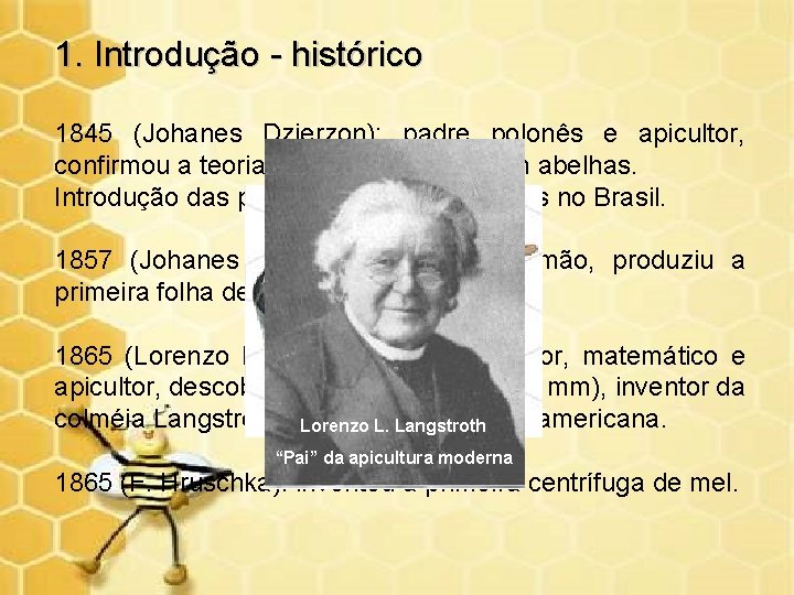 1. Introdução - histórico 1845 (Johanes Dzierzon): padre polonês e apicultor, confirmou a teoria