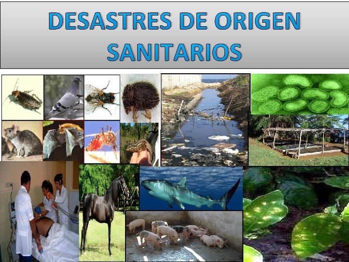 DESASTRES DE ORIGEN SANITARIOS 