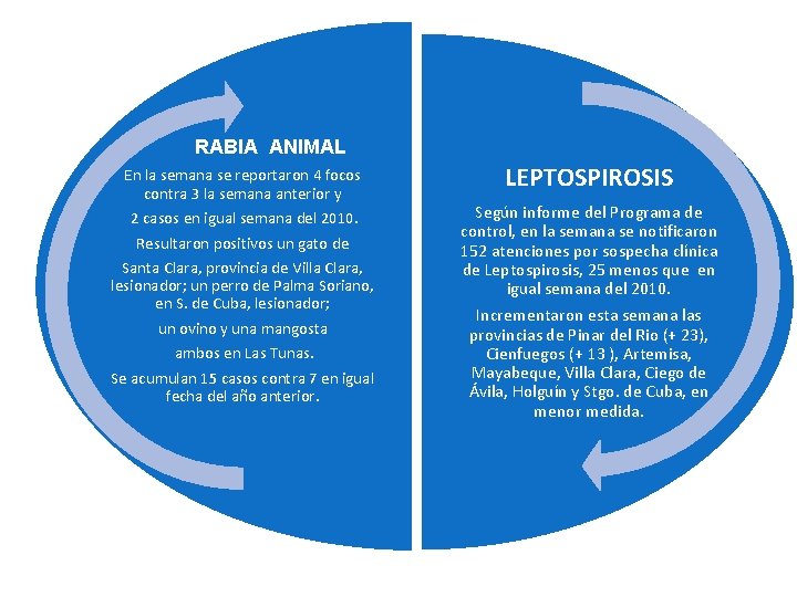 RABIA ANIMAL En la semana se reportaron 4 focos contra 3 la semana anterior