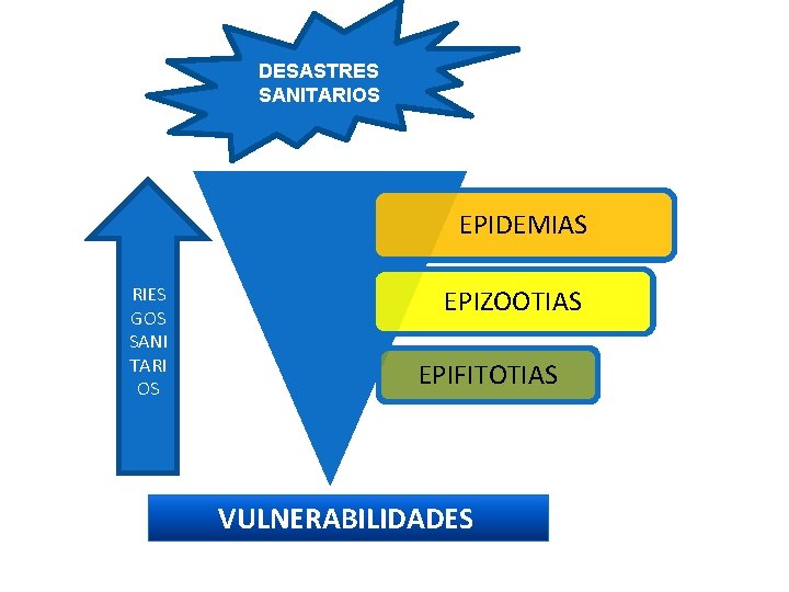 DESASTRES SANITARIOS EPIDEMIAS RIES GOS SANI TARI OS EPIZOOTIAS EPIFITOTIAS VULNERABILIDADES 