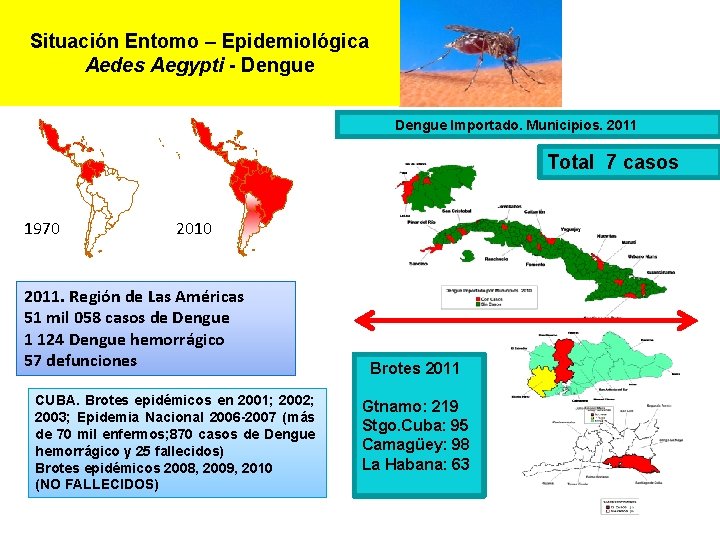 Situación Entomo – Epidemiológica Aedes Aegypti - Dengue Importado. Municipios. 2011 Total 7 casos