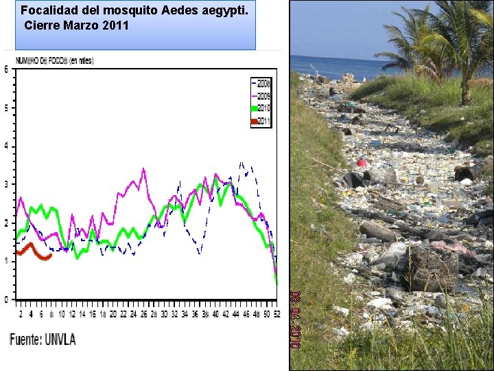 Focalidad del mosquito Aedes aegypti. Cierre Marzo 2011 