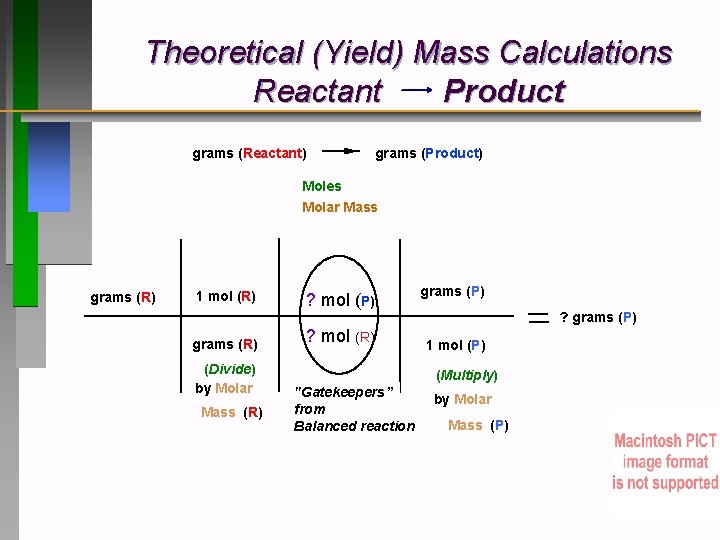 Theoretical (Yield) Mass Calculations Reactant Product grams (Reactant) grams (Product) Moles Molar Mass grams