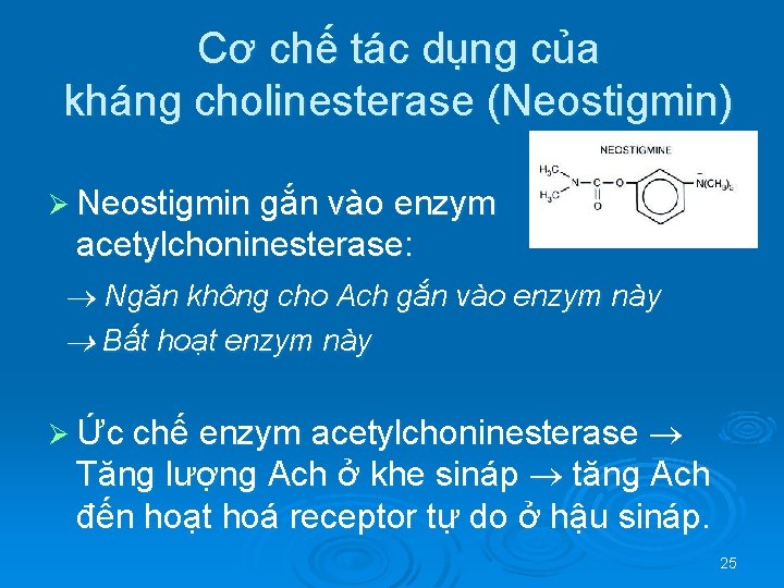 Cơ chế tác dụng của kháng cholinesterase (Neostigmin) Ø Neostigmin gắn vào enzym acetylchoninesterase:
