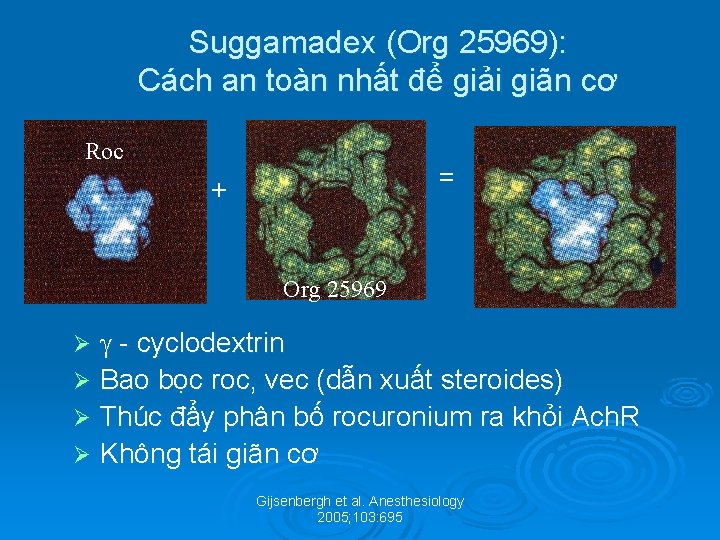 Suggamadex (Org 25969): Cách an toàn nhất để giải giãn cơ Roc = +