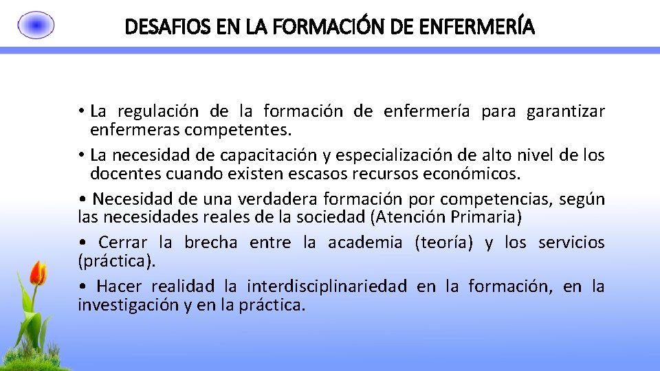 DESAFIOS EN LA FORMACIÓN DE ENFERMERÍA • La regulación de la formación de enfermería