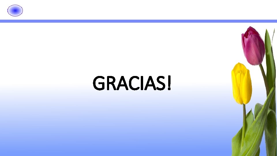 GRACIAS! 