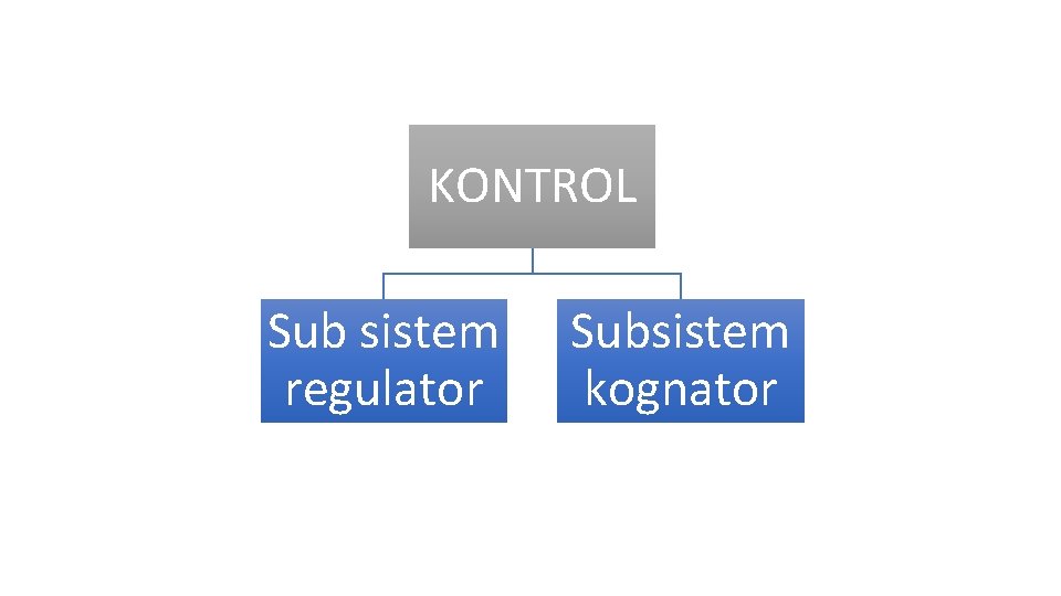 KONTROL Sub sistem regulator Subsistem kognator 