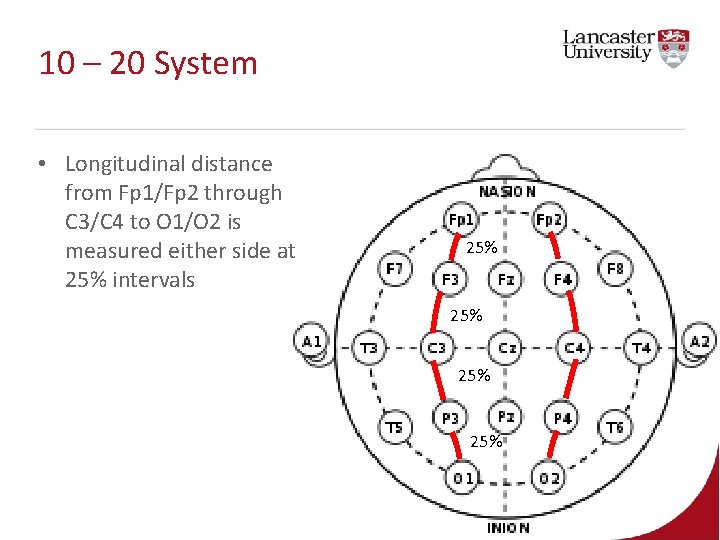 10 – 20 System • Longitudinal distance from Fp 1/Fp 2 through C 3/C 10 – 20 System • Longitudinal distance from Fp 1/Fp 2 through C 3/C